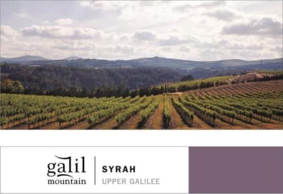 Galil Syrah Label