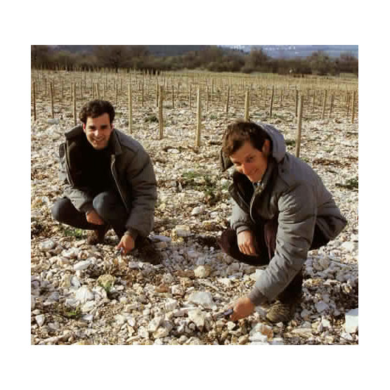 Domaine Méo-Camuzet Domaine Méo-Camuzet