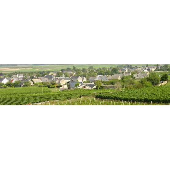 Cave De Saumur