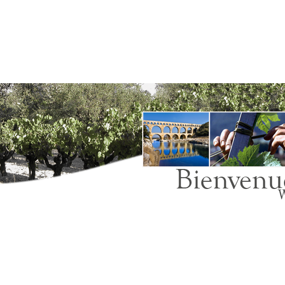 Vignobles David Vignobles David