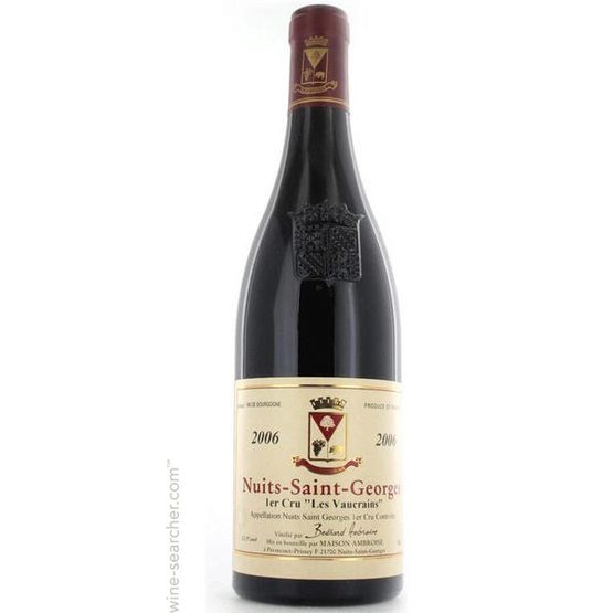 2010 Nuits Saint Georges 1er Cru Les Vaucrains