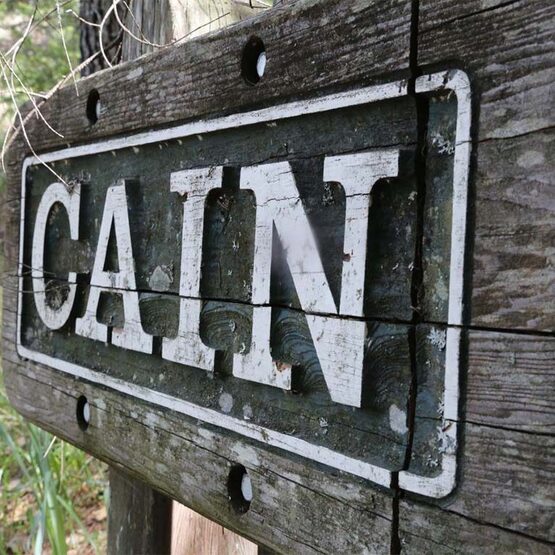 Cain Vineyard & Winery