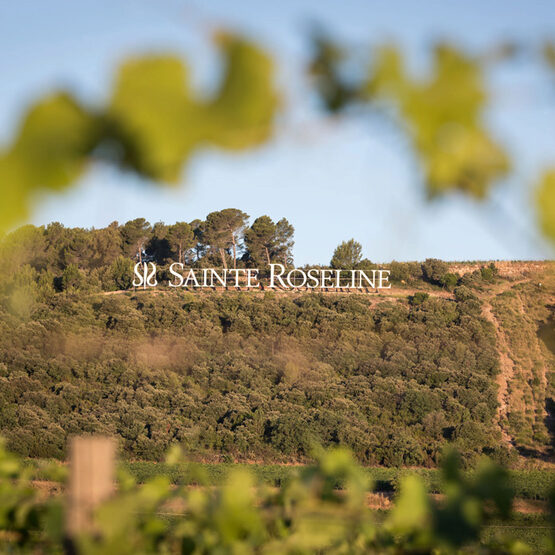 Chateau Sainte Roseline Image