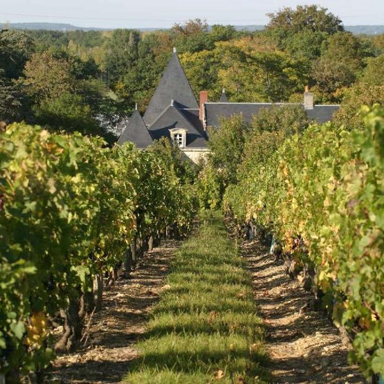 Domaine Jean-Marc Raffault