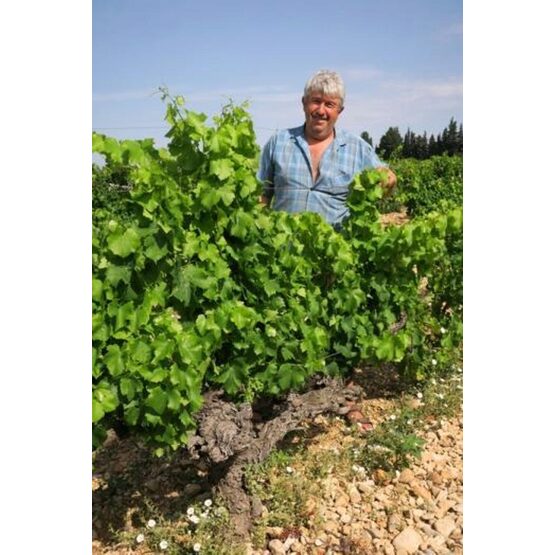 Domaine Le Couroulu