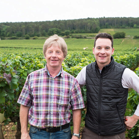 Domaine Robert Groffier Pere & Fils