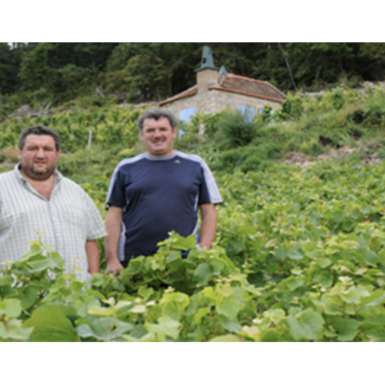 Domaine Humbert Frères