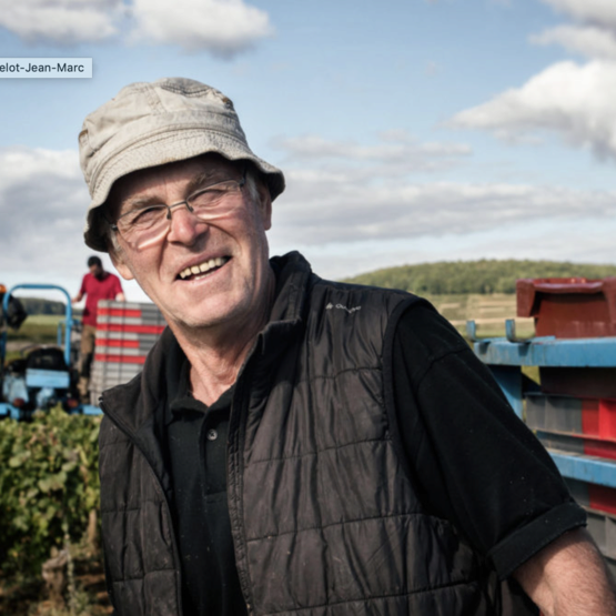 Domaine Pavelot