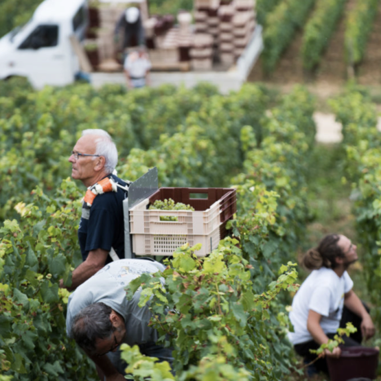 Domaine des Croix