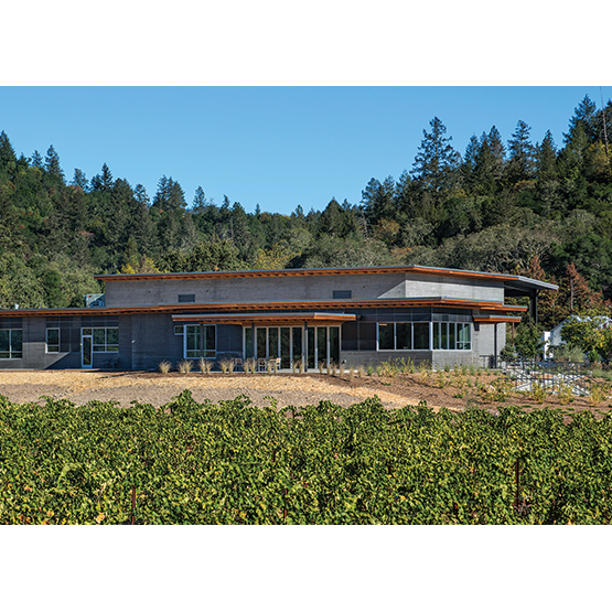 Titus Vineyards