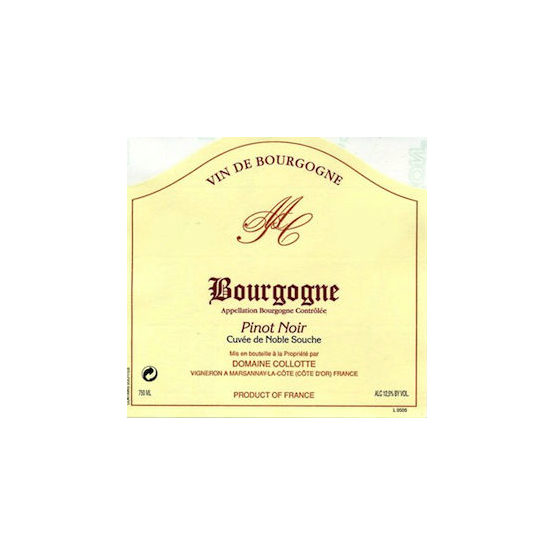 Domaine Collotte Bourgogne Pinot Noir Noble Souche