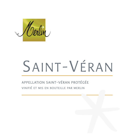 Olivier Merlin Saint-Véran