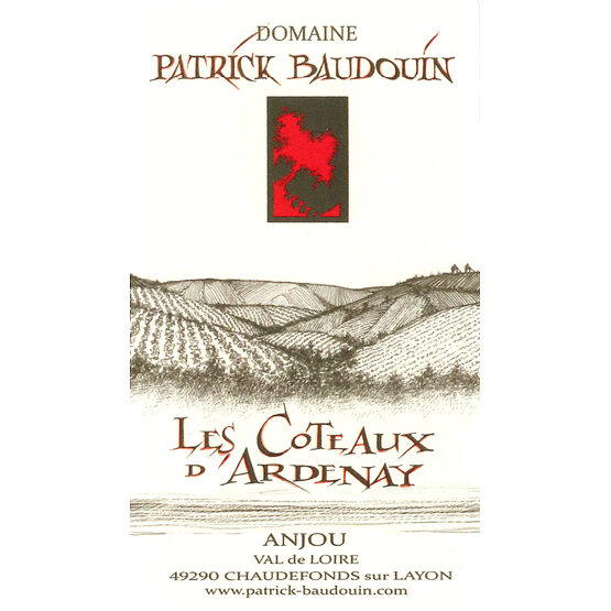 Patrick Baudouin Anjou Rouge Les Coteaux D'Ardenay