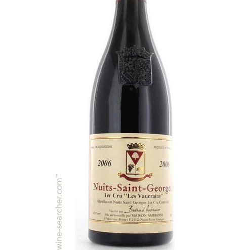 2010 Nuits Saint Georges 1er Cru Les Vaucrains