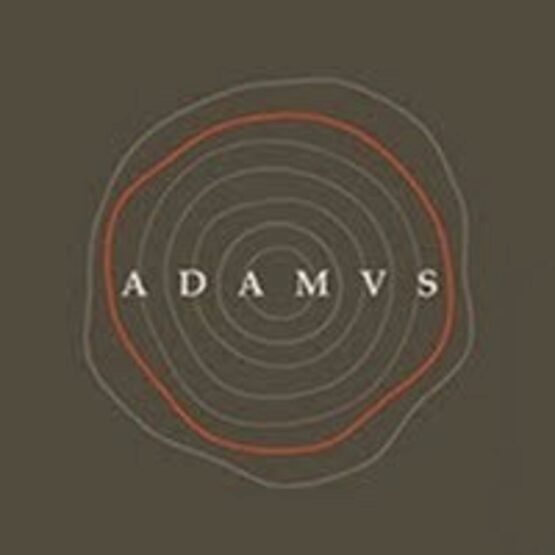 ADAMVS Cabernet Sauvignon Howell Mountain