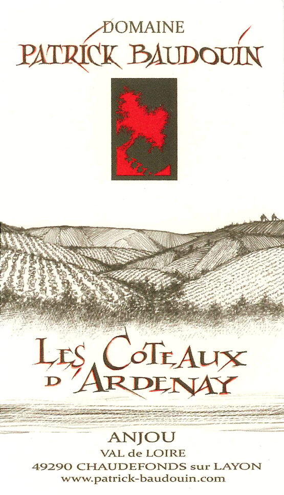 Patrick Baudouin Anjou Rouge Les Coteaux D'Ardenay
